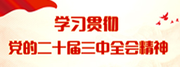 学习贯彻党的二十届三中全会精神
